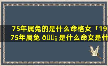 75年属兔的是什么命格女「1975年属兔 🐡 是什么命女是什么星座」